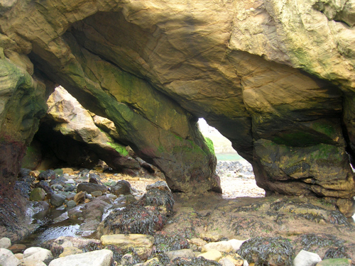 Photograph: A cavern worn out by the sea beneath the rock spur between Cullercoats and Tynemouth