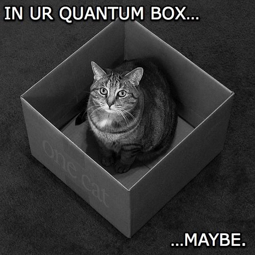 Lolcat: Kitty sat in a cardboard box. In ur quantum box...maybe