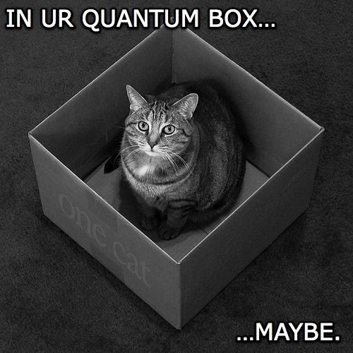 Lolcat: Kitty sat in a cardboard box. In ur quantum box...maybe