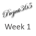 Week 1