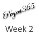 Week 2